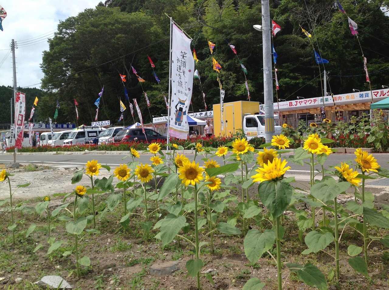   k݉aɂ 151012105326.jpg