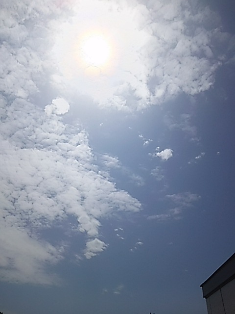 肰ȂO 160530223637.JPG